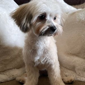 Meet your Posher, Beth